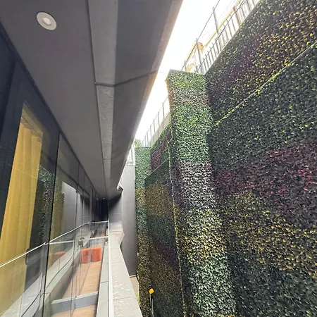 Taksim Petek דירה *