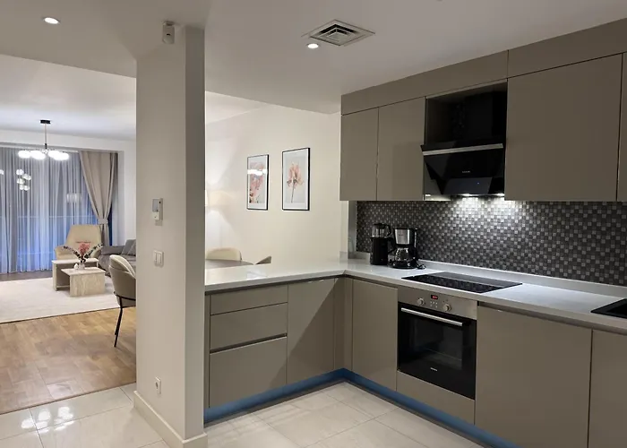 公寓 Taksim Petek 伊斯坦布尔